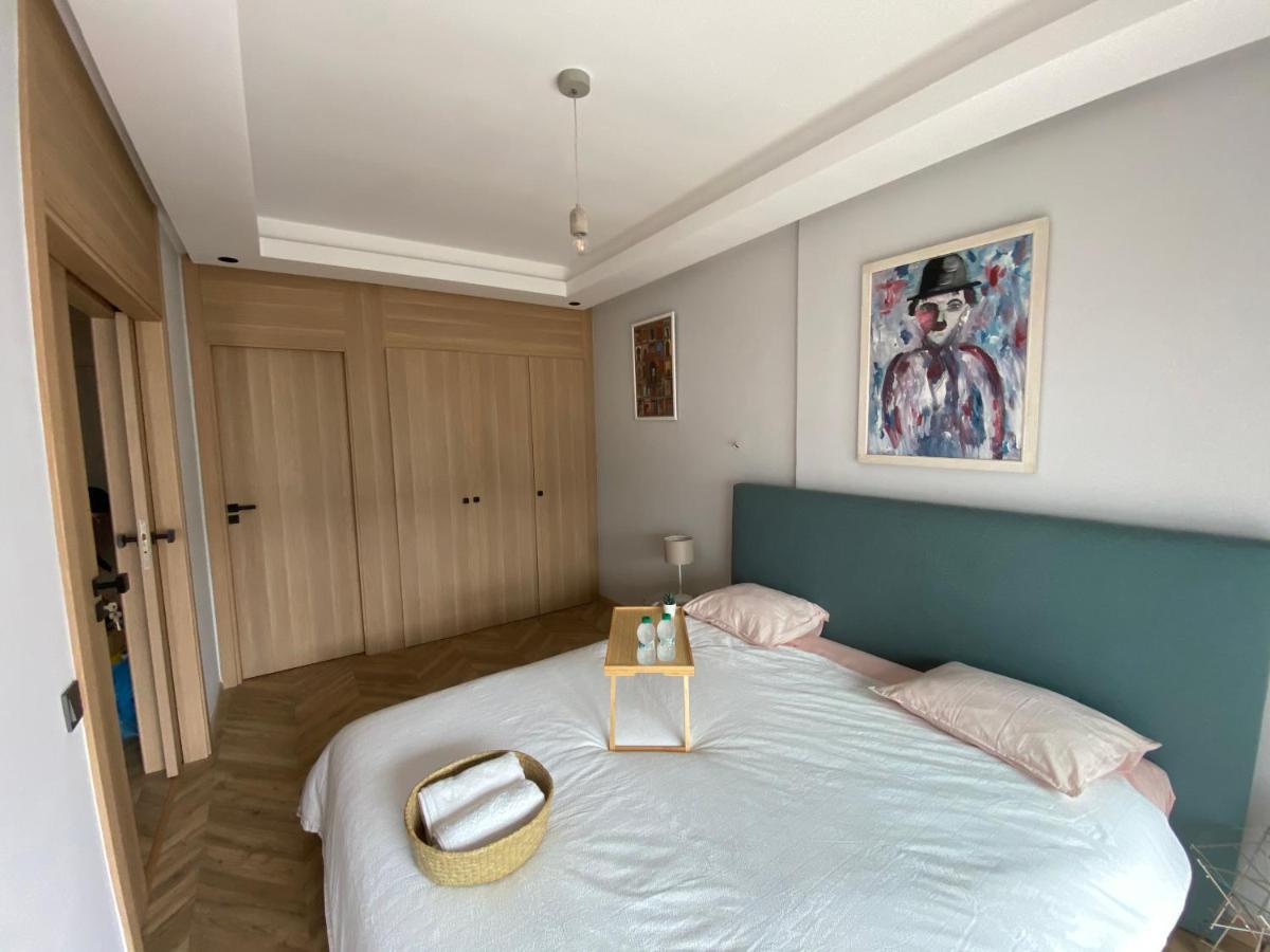 Spacious New 1-Bedroom Unit In Downtown W Terrace And Free Parking Касабланка Экстерьер фото